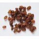 Raisins blancs secs (sultanine) BIO